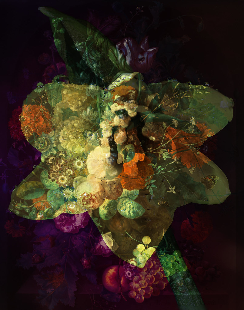 Macro Daffodil with flower texture