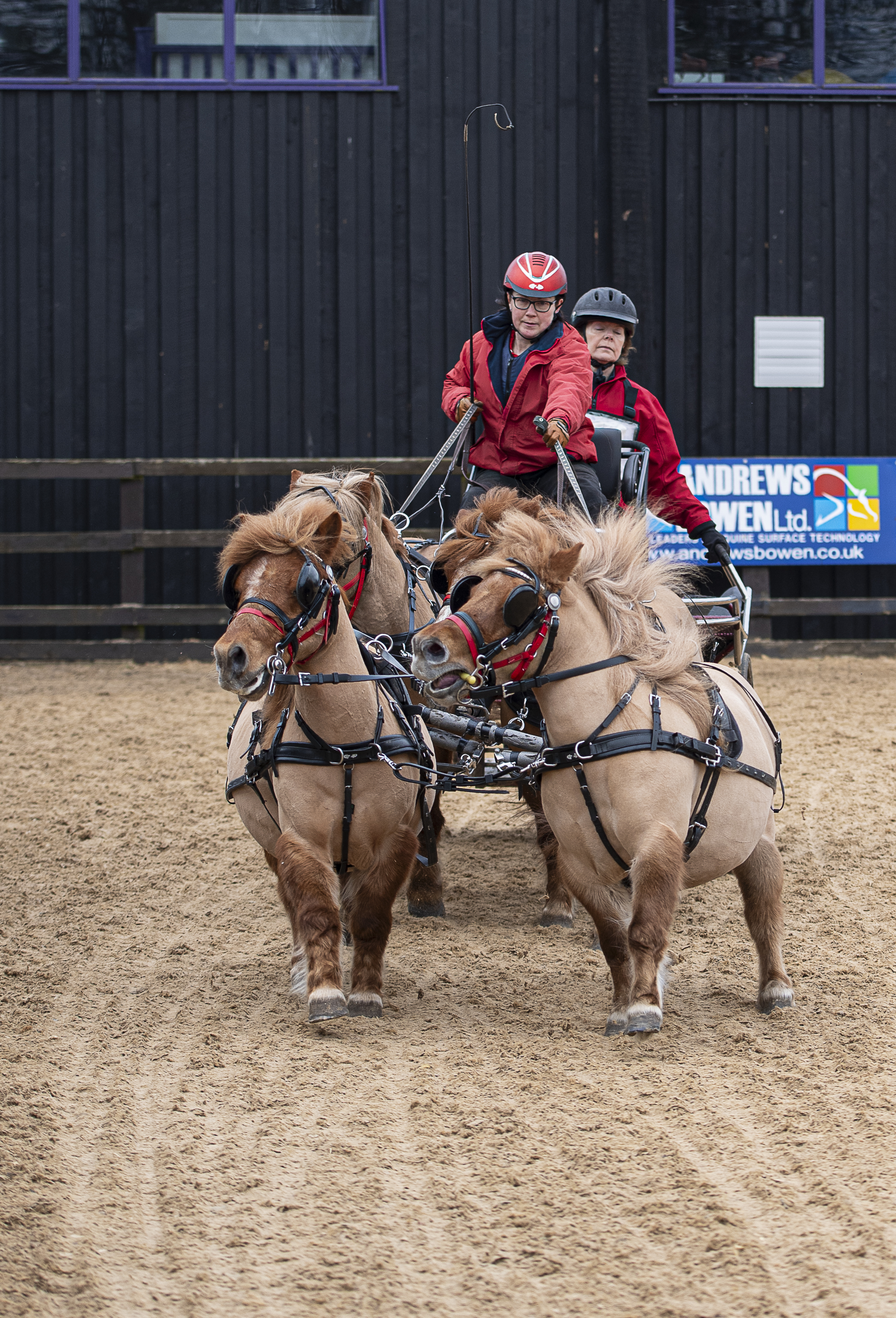 85-1 - Cheshire Horse Driving Indoor Trials.