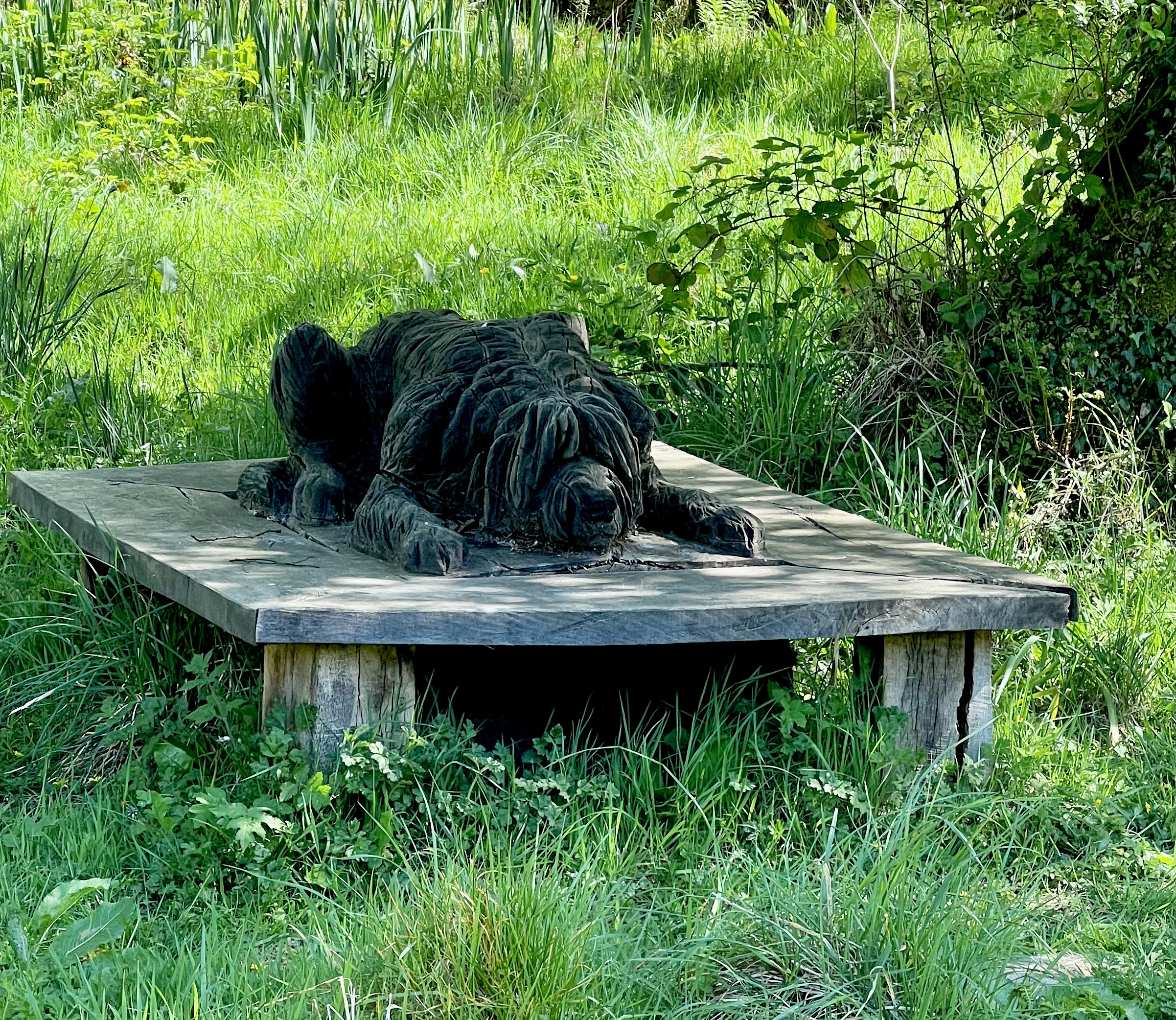A Hound at Rest.