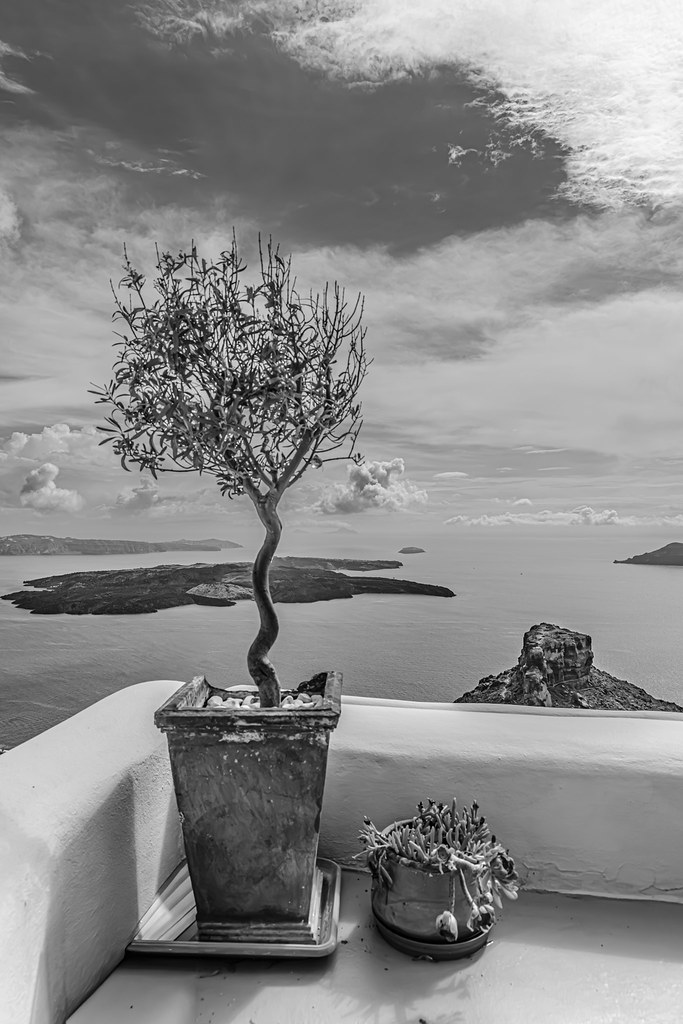 B&W Comp Entry