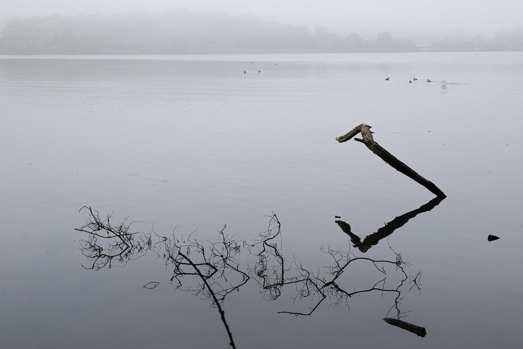 Marbury Mere in the mist 1