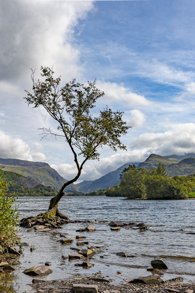Bedwen Padarn, Llanberis