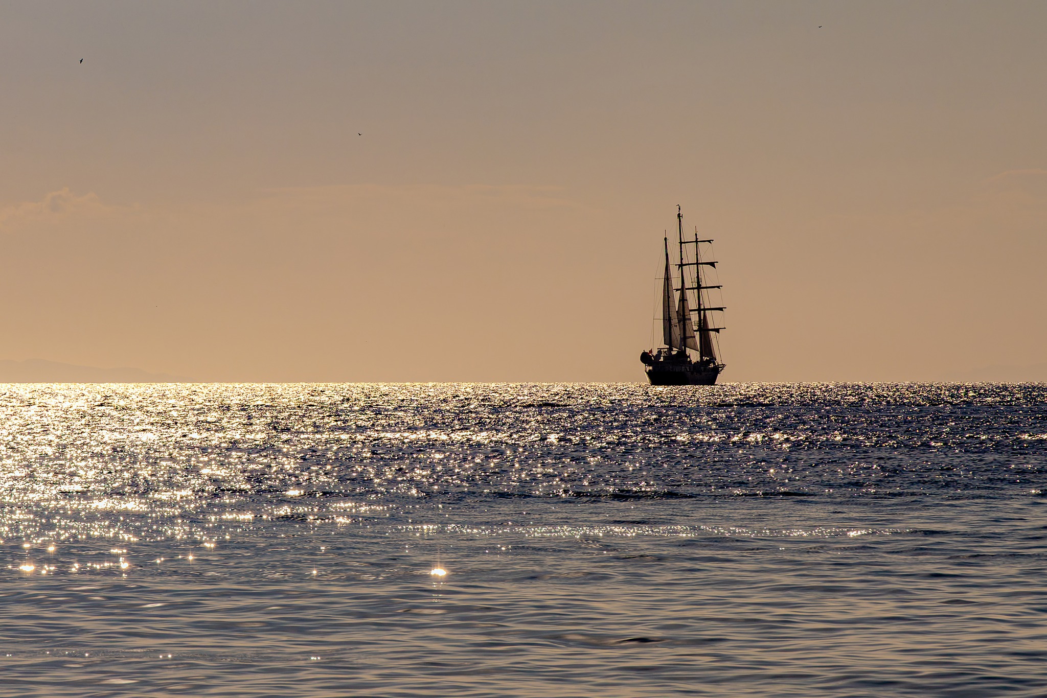 Sunset Sailing