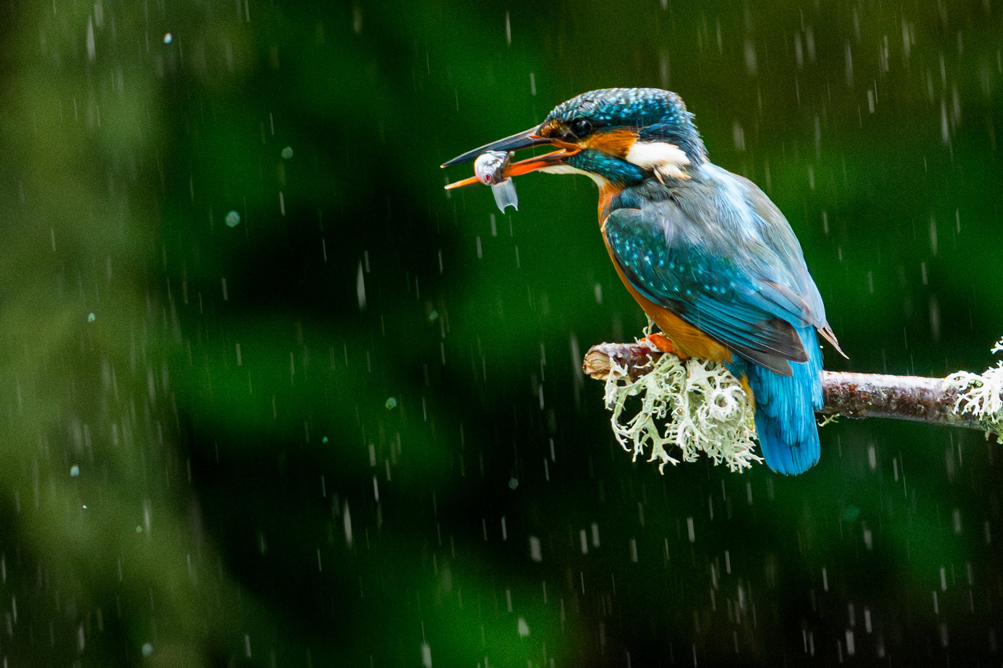 Gone Fishing