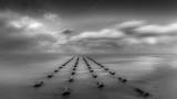 Craig Galloway